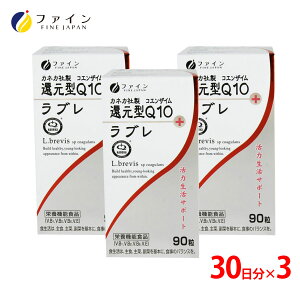 Ҍ^RGUCQ10 { u 90 3/30 3Zbg