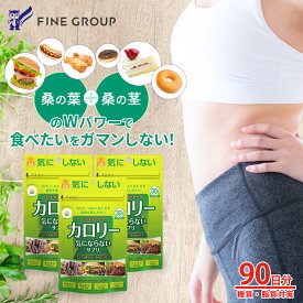【全品5％クーポン 15日限定】送料無料 カロリー気にならない 3個セット 30日分 ダイエット サポート キトサン ガルシニア カンボジア 脂質 糖質 カロリー 低 ゼロ 制限 オフ 桑の葉 サプリ サプリメント キトサンサプリ 食べ過ぎ 飲みすぎ ダイエットサプリ