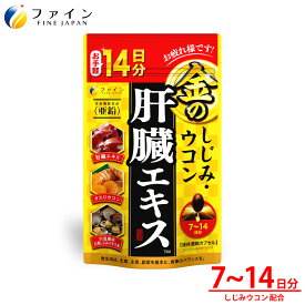 【送料無料＆11日1:59までP15】 金の しじみ ウコン 肝臓エキス 42粒(14日分) クルクミン 亜鉛 オルニチン クスリウコン ビタミンB1 配合 栄養機能食品 ファイン