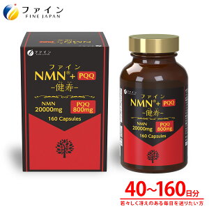�y����������4/10�܂�P10�z �t�@�C�� NMN - ���� -+PQQ160�� 72g(450mg×160��) �r�^�~��B3 PQQ ��- �j�R�`���A�~�h���m�k�N���I�`�h �T�[�`���C����`�q ���X�x���g���[�� ��X���� ���N