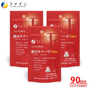 y111:59܂P15z  t@C [Li[[ Prime 30 [ Li[[  3300FU ݐ| [ ibgELi[[ Tv 哤 N GCWOPA K [ DH