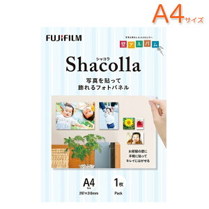 A4 tHgpl VR 1 ǃAo ǃ^Cv ʐ^ \ ͂ FUJIFILM xmtB zCg shacolla { Ki  A4TCY