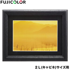 2LTCY ubN ʐ^ KX tWJ[ tHgt[ YM-3 tHgX^h ؐ CeA c FUJICOLOR Vv Lrl t[ ؐz z Ǌ| X^h Ċ| c