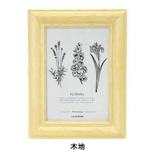 tHgt[  L ʐ^ t[ LTCY tWJ[ tHgX^h z 1 FUJICOLOR 4221L 4222TL CeA i` Vv