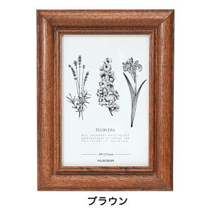 tHgt[  L ʐ^ t[ LTCY tWJ[ tHgX^h z 1 FUJICOLOR 4221L 4222TL CeA i` Vv