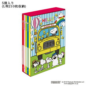 Xk[s[ {bNXAo e 5 s[ibc LTCY 210 |PbgAo iJoV Nakabayashi L PL-1031-12 B LN^[ Ao