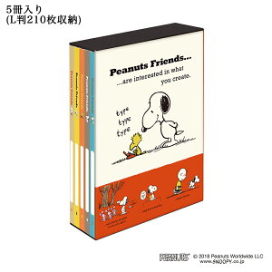 Xk[s[ {bNXAo e 5 s[ibc LTCY 210 |PbgAo iJoV Nakabayashi L PL-1031-11 A LN^[ Ao