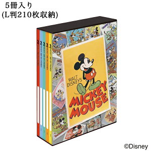 fBYj[ {bNXAo e 5 ~bL[}EX LTCY 210 |PbgAo iJo@Nakabayashi Disney L ~bL[ PL-1031-2 LN^[