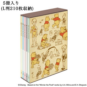 ܂̃v[ fBYj[ {bNXAo e 5 LTCY 210 |PbgAo iJoV Nakabayashi Disney L Ձ[ PL-1031-3 LN^[