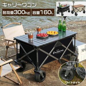 キャリーワゴン300L大容量耐荷重250kg 長物対応後部展開可キャリー 