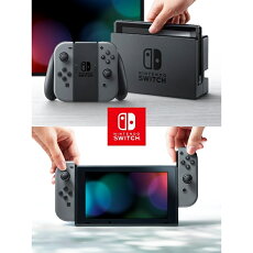 【予約】3/3発売★NintendoSwitchJoy-Con(L)/(R)グレー任天堂4902370535709【在庫品及び発売月の異なる商品との同梱不可】