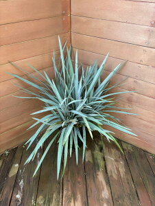 fBAl@u[Xg[y؁@A؁@K[fjO@z