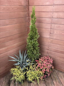 Rjt@[3_ƃI^tNieƃfBAlu[Xg[5_ZbgyRjt@[@kX^C@؁@A؁@K[fjOz