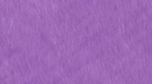 �f�R�A�[�g�@�A�N�����G��@�A�����J�[�i �@2�I���X�@260-0302 �p�[�v���s�b�U