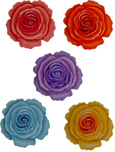 g[yCgŕ`}ĕtؑf @cwk-113@ õR[X^[i51gjA