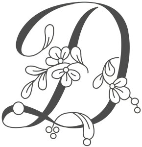 t@Cz[̃VNXN[@X[TCY@sis-108@ԕ@D