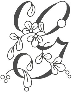 t@Cz[̃VNXN[@X[TCY@sis-111@ԕ@G