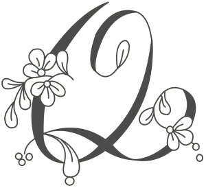 t@Cz[̃VNXN[@X[TCY@sis-120@ԕ@Q