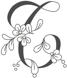 t@Cz[̃VNXN[vg@X[TCY@sis-123@ԕ@T