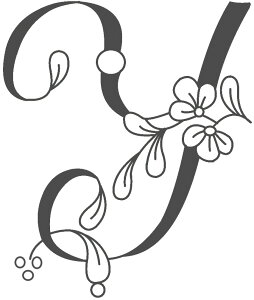 t@Cz[̃VNXN[@X[TCY@sis-127@ԕ@Y