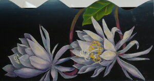 g[yCg @cbq̃fUCpPbg@lƃVRoT{e@dp-004