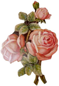 g[yCgŕ`}ĕtؑfށ@ mh-602 @Jbg[Y@R[