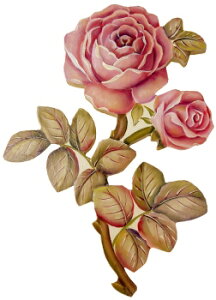 g[yCgŕ`}ĕtؑf @mh-603 @Jbg[Y@bhoCIbg