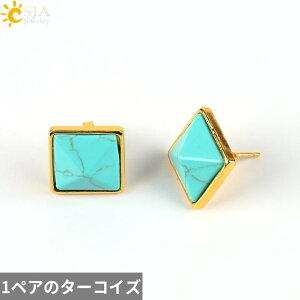 yz sAX  zCg  ubN NX^  bh S[h XNGA Io[ Xg[  fB[X