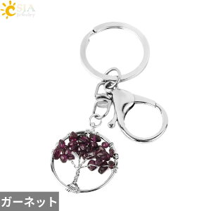 yz L[`F[ y_g w O NX^ `F[ Eh Xg[ vg O ؂̗t [t A   fB[X