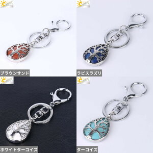 yz L[`F[ y_g w O I[goC `F[ Xg[ hbv vg O ؂̗t [t A   Y fB[X