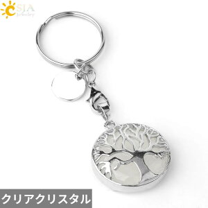 yz L[z_[ L[`F[ w O NX^ `F[ Xg[ vg O ؂̗t [t A   fB[X Y