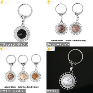 yz L[z_[ L[`F[ w O  t[ NX^ `F[ Xg[ O  fB[X