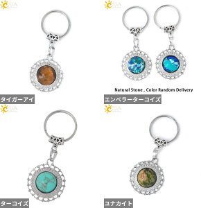 yz L[z_[ L[`F[ w O  t[ NX^ `F[ Xg[ O  fB[X