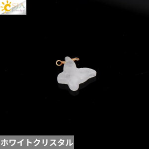 yz y_g sAX uXbg  o^tC NX^ CZNg Xg[ LO r[Y  Y fB[X