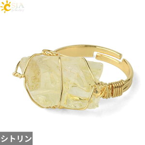 yz w O t[TCY  t[ NX^ S[h Xg[ O fB[X Y