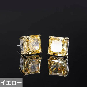 yz sAX _Ch Vo[ O fB[X 925 X^[O 10mm NbV X ACX Jbg Vg Tt@CA nC J[{ X^bh  EFfBO p[e