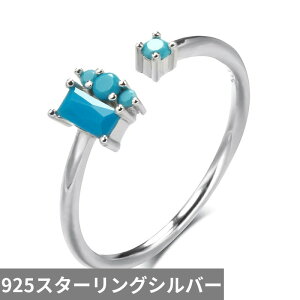 yN[|p4560~z w O re[W Vo[ fB[X A 95 X^[O GKg 􉽊w Jbg ^[RCY fC[ X^bN\ t@C WG[ Mtg