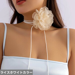 yN[|p4260~z `[J[ lbNX  t[ `F[ [v fB[X ֒ GKg  [Y  kpop ZNV[ }`bN \ Y2K ANZT[