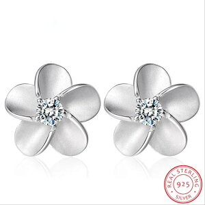 yN[|p3850~z sAX  t[ Vo[ fB[X 1yA 1% A 925 j j[h WG[ t@bV 킢  X^bh Mtg K[ eB[Y fB