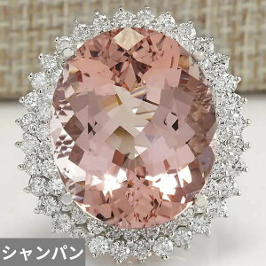 yz w O WRjA Vo[ sbN fB[X 2019 V  Vp J[ L[rbN WR v[g gh fB }`bN  EFfBO 