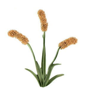 yN[|p3520~z u[` vg ^ A fB[X Y V t@bV Gi   eC  AeB[N  T}[ ol s