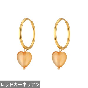 yz y_g sAX  bh  u[ Xg[ n[g t[v fB[X 킢 {w~A i` ^[RCY }JCg