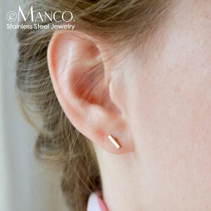 【送料無料】 ピアス ステンレス レディース 女性 韓国 スタイル スモール スタッド ファッション スチール 安全 ピン ジュエリー