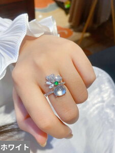 yz w O NX^ Vo[ Io[ XC[c vg َq A fB[X gh J[ JZhj[ Ip[ CZ XC[g p[eB WG[ Mtg