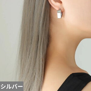 【送料無料】 ピアス ステンレス ハート 韓国 レディース 透かし ハート型 Ins スタイル スチール セクシー ファッション 色落ちなし 耳 イヤー ジュエリー