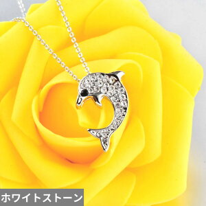 yN[|p3500~z y_g w O lbNX CXg[  Aj} Vo[ `F[ CJ fB[X f炵 킢 htB J[ N K[ W