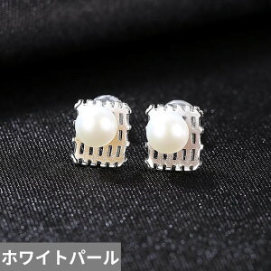 yN[|p7600~z sAX  zCg Vo[ XNGA p[ O fB[X i` lp X^bh 925 X^[O t@C WG[ f[g p[eB FB NX}