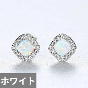 yz sAX Vo[ Io[ O fB[X 925 X^[O t@bV WG[ X^bh H` ` VF[v gh fUC {w~A Ip[