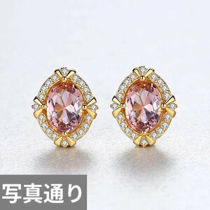 yN[|p8100~z sAX Vo[ Io[ Xg[ O fB[X A 925 X^[O ґ WFXg[ X^bh  KiCg  WG[