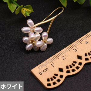 yz sAX  t[ hbv p[ h fB[X i` tbV  BOHO _O Mtg  EFfBO WG[ rW[